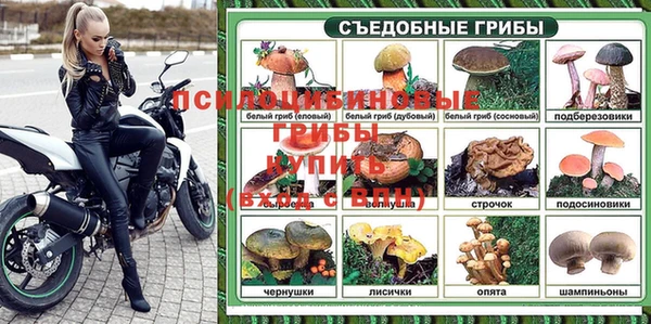 амф Остров