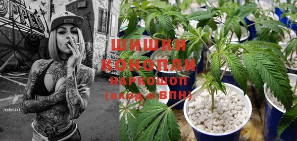 мяу мяу кристалл Няндома