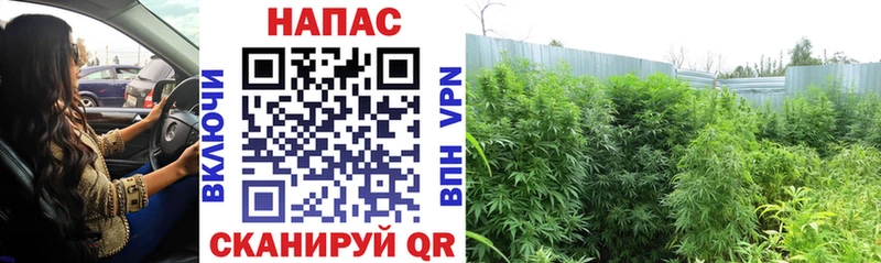 МАРИХУАНА OG Kush купить наркотик Лебедянь